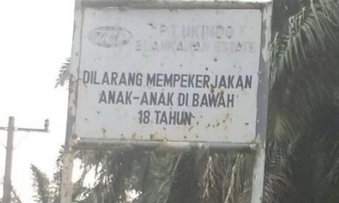 BISNIS DAN HAK-HAK ANAK